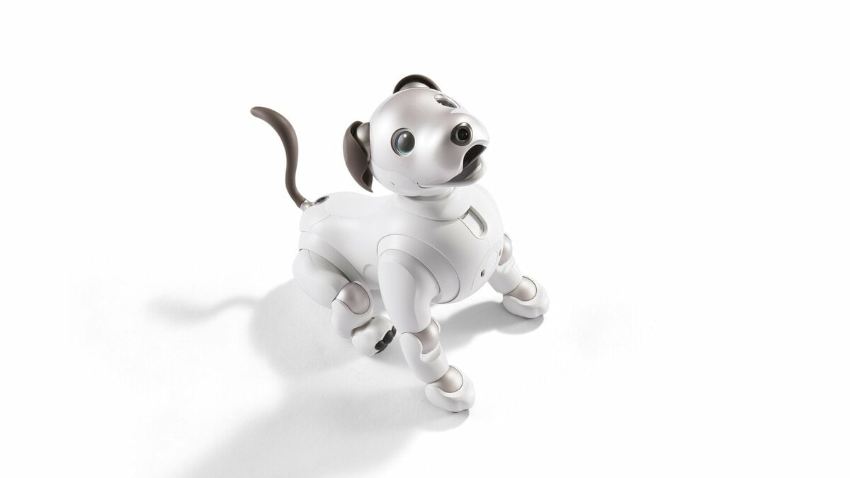 ソニー犬型ロボット「aibo」現行モデルの国内販売終了へ 事業は継続