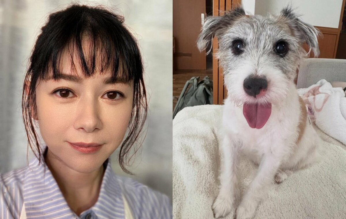 【 真木よう子 】愛犬シェリーが退院〝皆様の優しさが大きな支えになりました〟今後は定期的に通院
