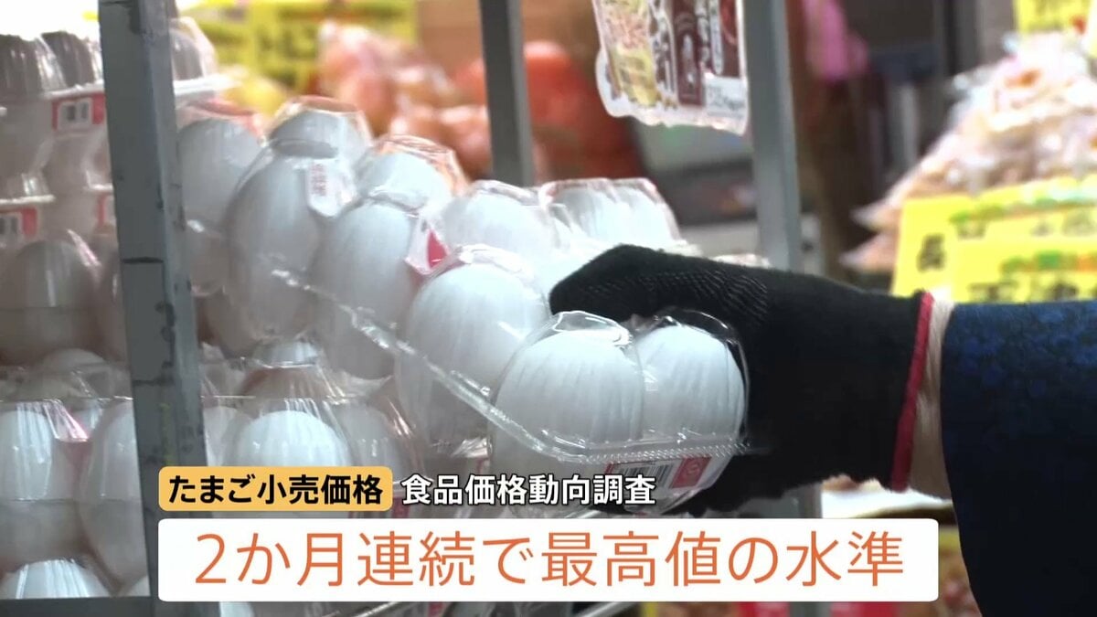 卵の卸売価格 5か月連続で前年を下回る　一方、小売価格は2か月連続で最高値水準に 高値はいつまで･･･
