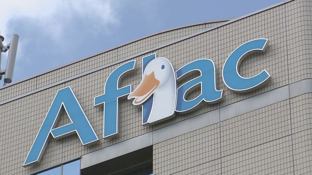 アフラック生命保険 金融庁から報告徴求命令 不正アクセスで438万人分の顧客情報流出めぐり