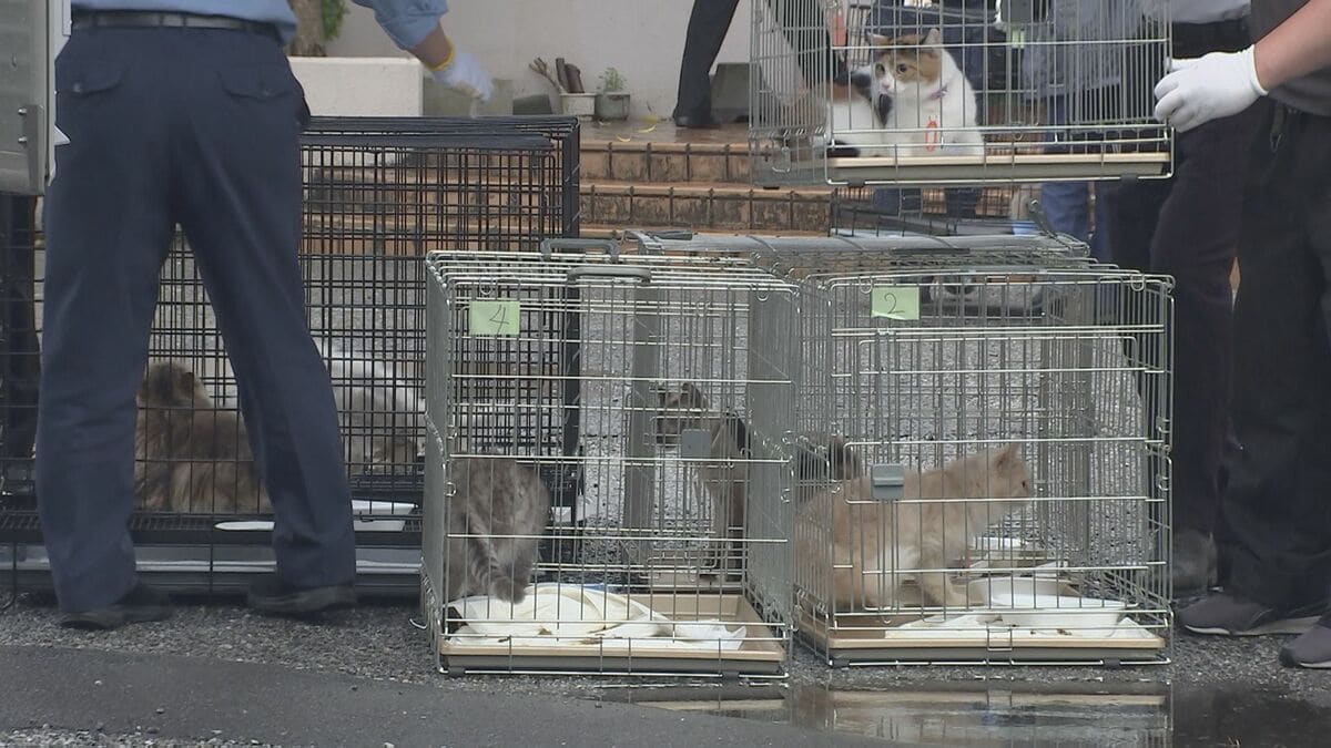 犬猫11匹を劣悪環境で飼育し虐待か 男女2人を動物愛護法違反の疑いで逮捕 警視庁