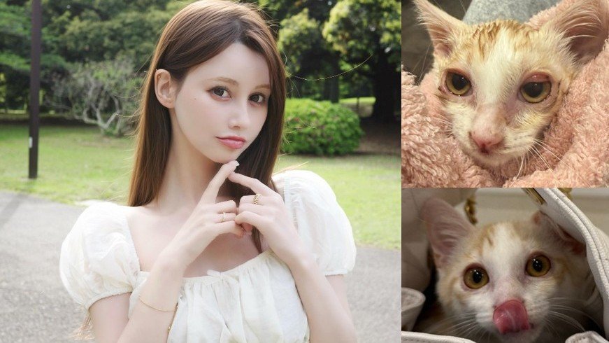 【ダレノガレ明美】虫取り網で保護した子猫「ララ」くんの現在を報告! わずか10日で見違える姿にファン大絶賛「本当にキレイになった」