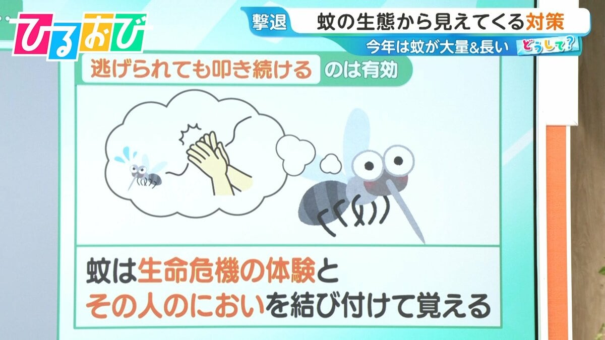 「蚊」は叩いた人のニオイを24時間記憶!?蚊が入りにくい“窓の開け方”は?今年は“当たり年” 多い&しつこい蚊の対策を研究者に聞く【ひるおび】