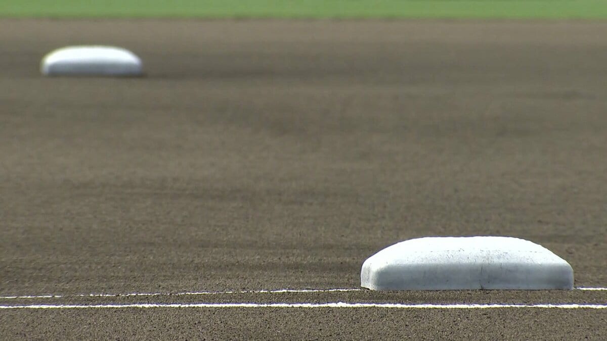 “夏の甲子園”全49校出揃う　連覇狙う沖縄尚学、激戦区大阪は履正社　“東北勢”秋田の横手は57年ぶりの甲子園へ、初出場は八王子実践ら4校【一覧】