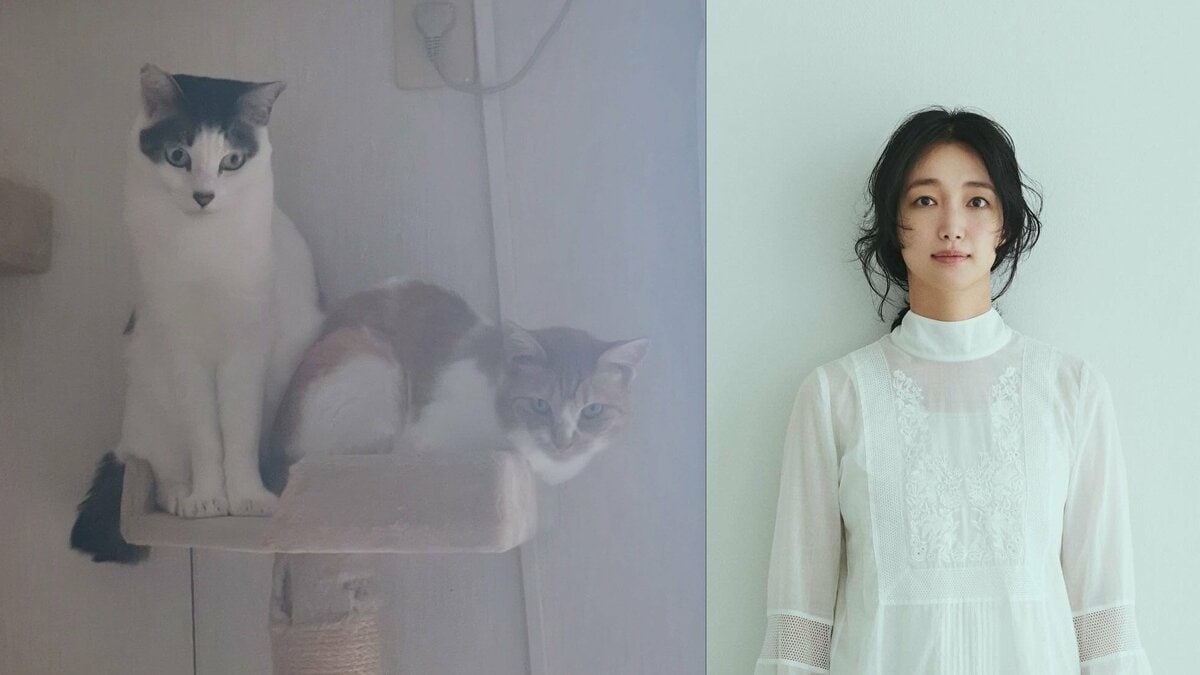 【 入山法子 】「誕生日を迎えました」愛猫2頭と「我が家は今日も平和です」感謝と抱負　被災地にも思い寄せる