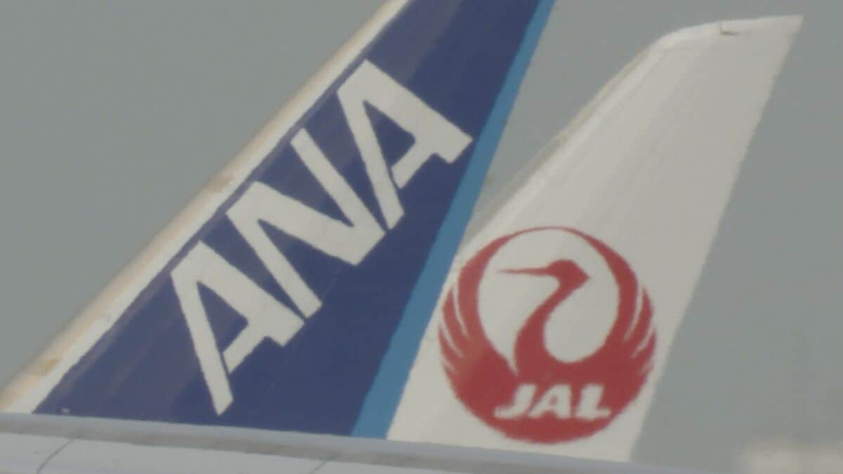 【台風13号】空の便は沖縄・鹿児島中心に欠航　ANA・JALは6～8日にかけ欠航決定はすでに300便