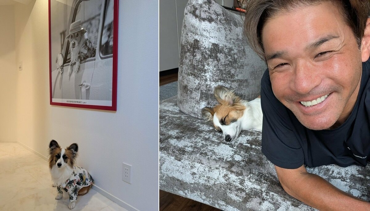 【 いぬ 】照英 愛犬パピコが愛犬テンのアロハシャツを着用「ジャストサイズ!」 ポスターとの2ショットにフォロワー「愛が受け継がれてますね」