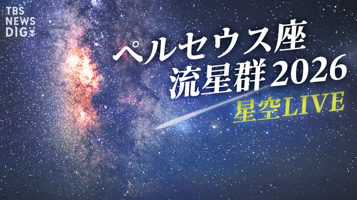 “三大流星群”ペルセウス座流星群がまもなくピーク!最も観測に適したタイミングは?観測のポイントは?カメラマンが教えるコツは「より暗いところ」