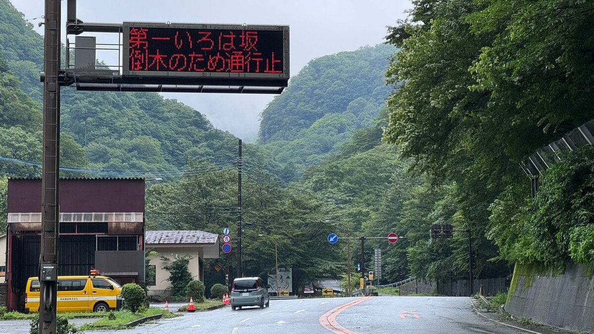 日光市のいろは坂　約15メートルのカエデの木が倒れ車を直撃　けが人なし