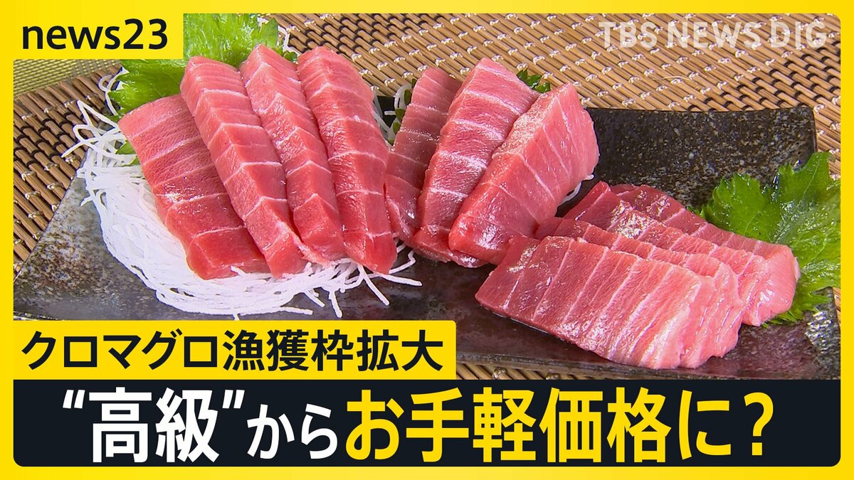 クロマグロ漁獲枠25%拡大で合意 来年はトロ1皿「580円→480円」に? “反対”表明のメキシコが一転して“賛成”【news23】