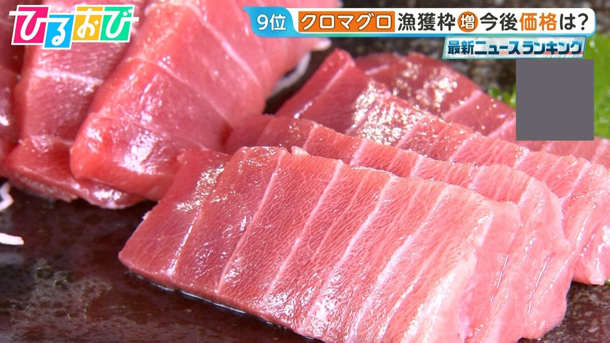 「クロマグロ」漁獲枠25％増で合意　今後価格はどうなる？【ひるおび】