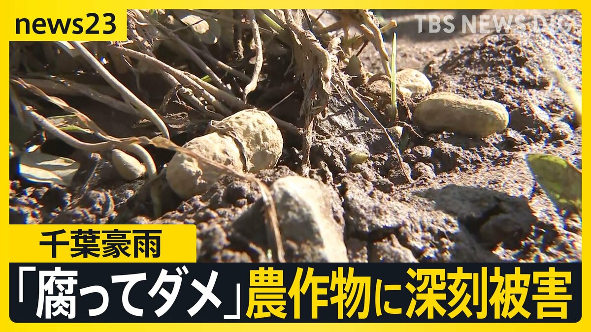 【台風18号】週末に「非常に強い勢力」に発達へ 千葉豪雨の被災地では断水解消…“水没車”撤去も農作物への被害が深刻【news23】
