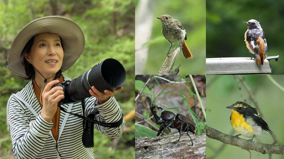 【 磯野貴理子 】　山梨の豊かな自然を満喫　野鳥にカブトムシ 信玄ゆかりの名水まで…大自然に親しむ姿に「自然の空気が伝わる」「目線が素敵」