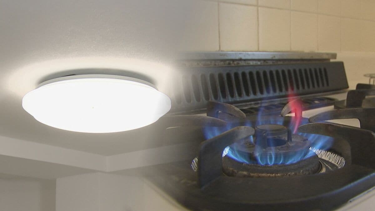 来月使用分の電気・ガス代 貿易統計速報値を元に推計 東京電力管内8275円程度 東京ガス5744円程度 一般的な家庭の料金を試算