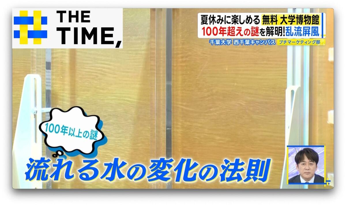 水の流れが見える“金屏風”からキャンパス内の“ミニ水族館”まで…無料で楽しむ大学博物館【THE TIME,】