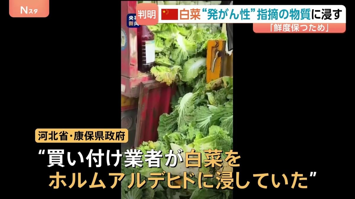 中国で買い付け業者が白菜をホルムアルデヒドに浸す 「鮮度を保つことを目的とした違法行為」インターネット上の告発を受け調査