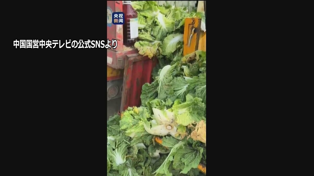 中国 発がん性指摘のホルムアルデヒドに浸した白菜めぐり3人を刑事拘留