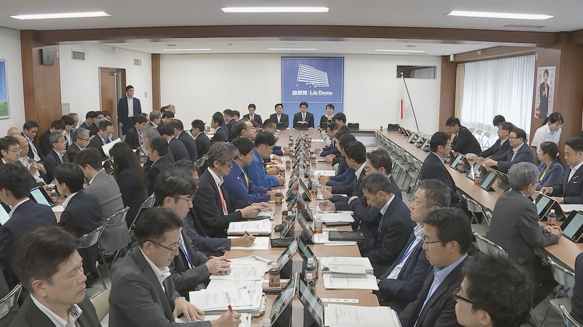 千葉豪雨受け自民党が提言案とりまとめ 駅前ロータリーなどへの雨水貯留施設設置などで政府に対し“手厚い財政支援”求める