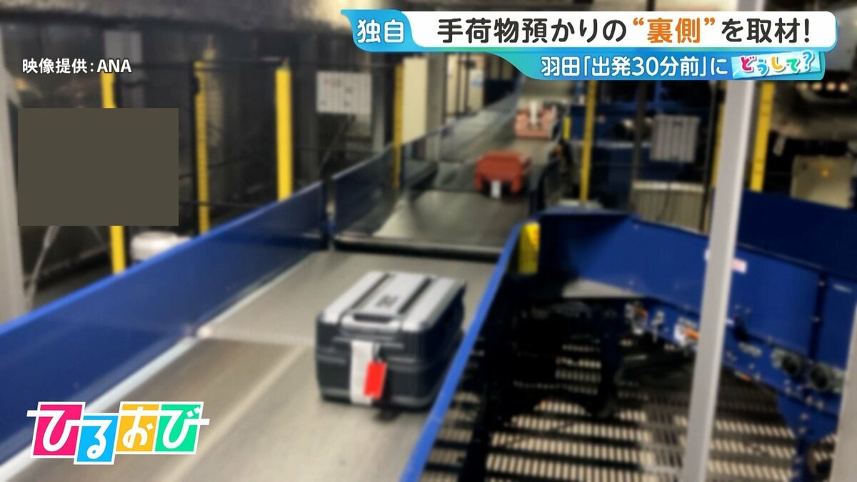 羽田空港の手荷物預け入れ「出発30分前」に!“厳格化”の背景は?手荷物預かりの裏側を取材【ひるおび】