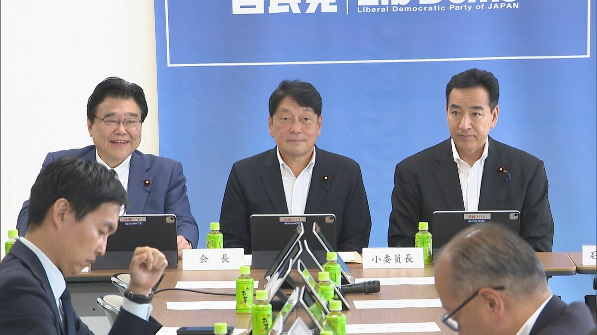 自民党税制調査会 「総額表示」義務の特例など了承 食料品の消費税減税めぐり
