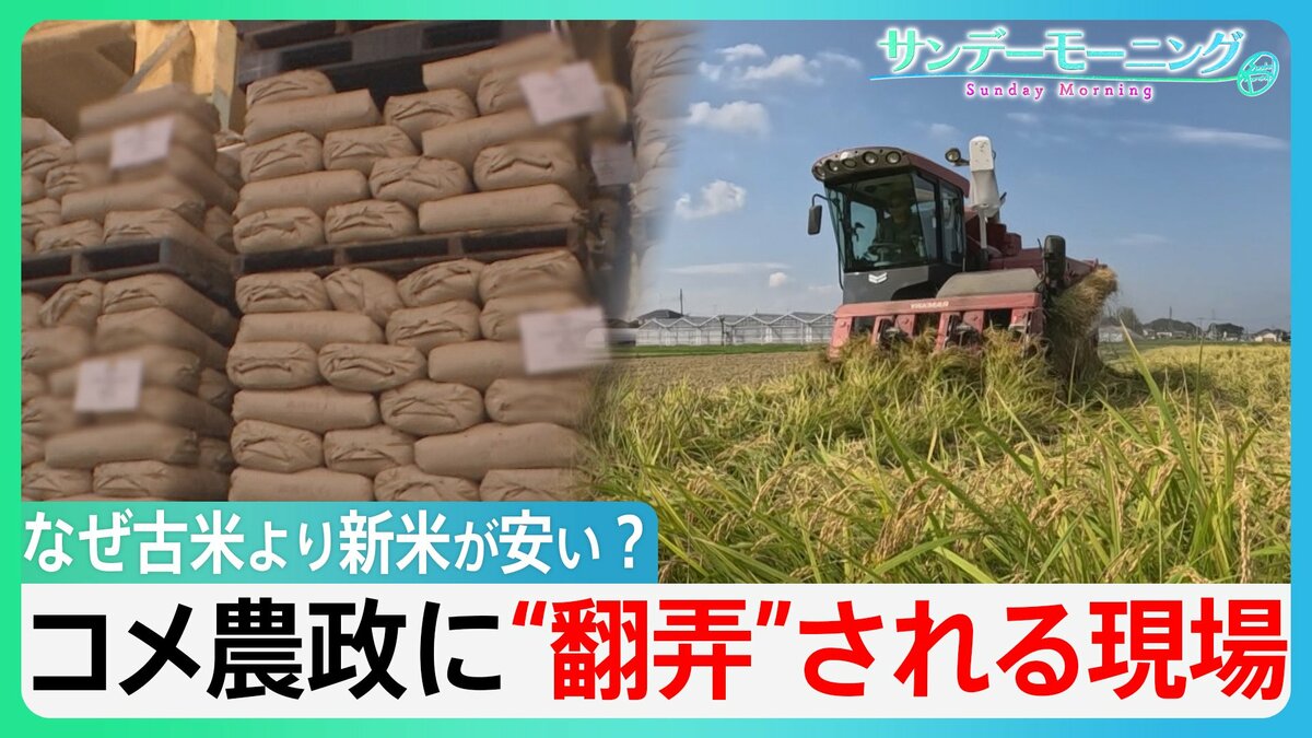 なぜ古米より新米が安い? コメ価格”異変”で「損切り」も ”じゃぶじゃぶ”政策から一転・・「備蓄米」買い戻し コメ農政に”翻弄”される現場【サンデーモーニング】