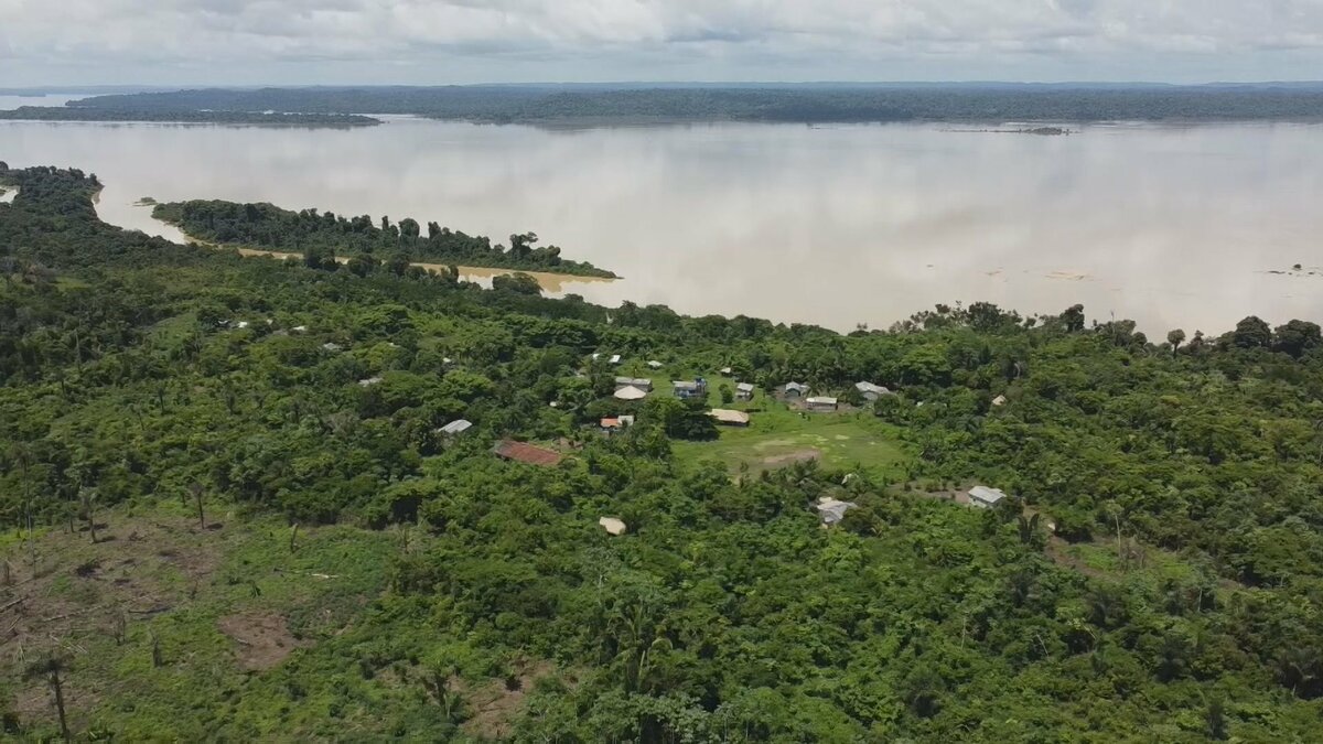 ブラジルのアマゾン、金などの採掘面積が39年間で20倍に　先住民への被害が深刻化