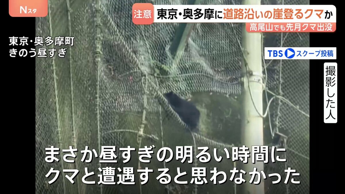 都内でクマ出没か「黒いものが前を」…道路沿いの崖を軽やかに登る様子　東京・奥多摩町で