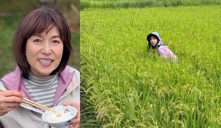 【 磯野貴理子 】自身の田んぼを手入れ「今のところ稲は順調に育ってます　来月はいよいよ稲刈り！」