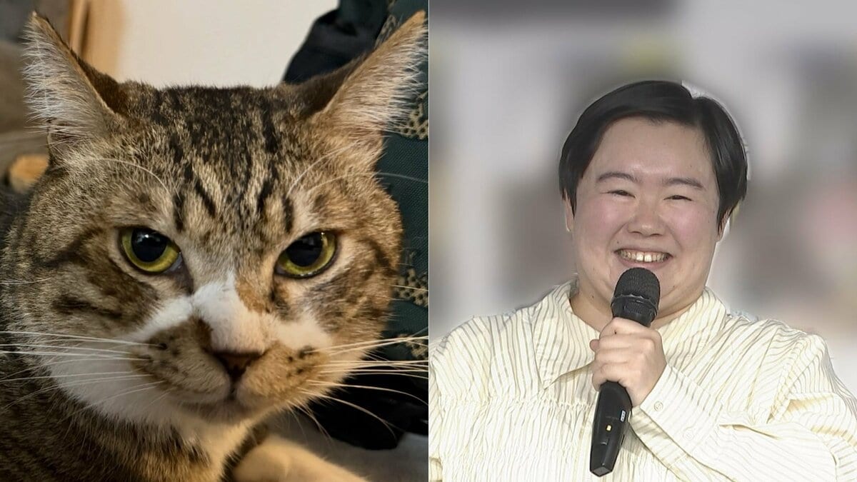 【 やす子 】「実は千葉に移住して保護猫9匹飼ってました!」 保護猫1匹目「ハッピー」の画像を公開
