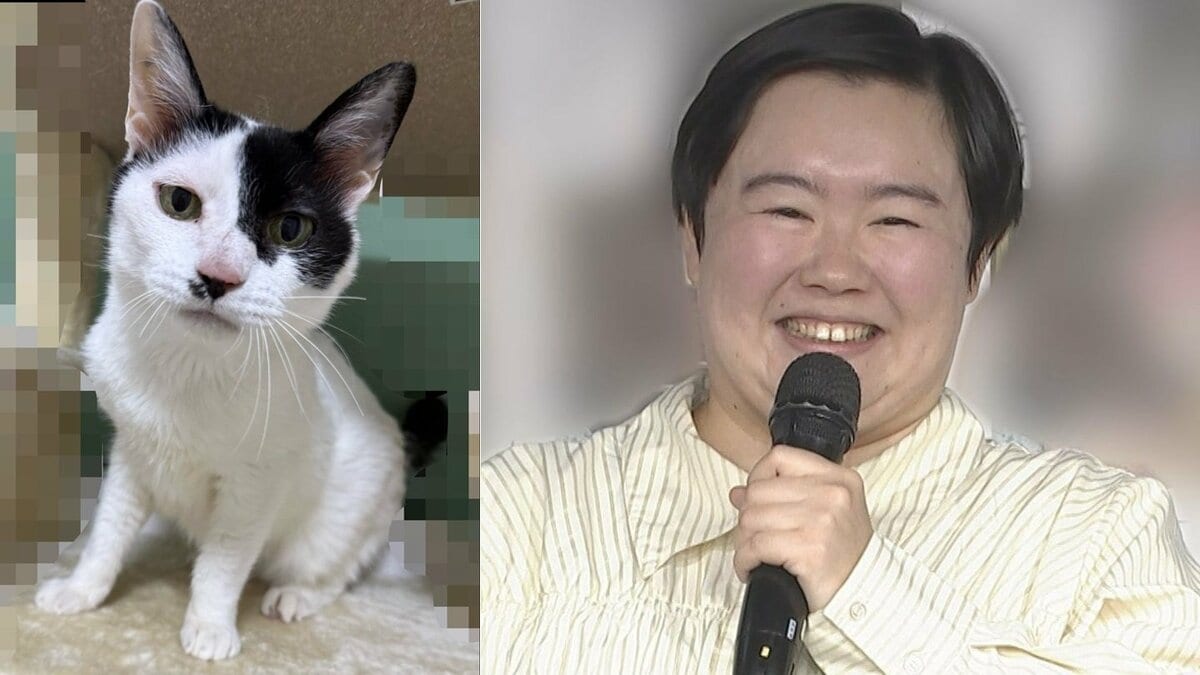 【 やす子 】保護猫2匹目「ツキ」を紹介 「実は千葉に移住して保護猫9匹飼ってました!」 前回は1匹目の「ハッピー」を紹介