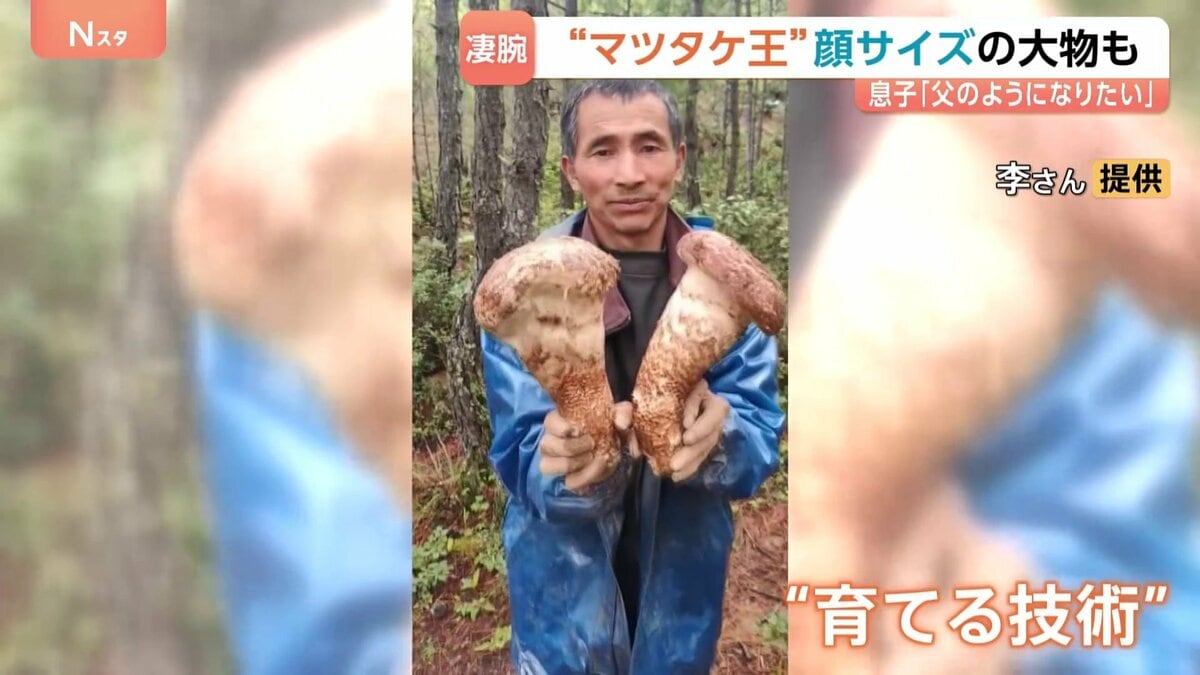 【中国の“マツタケ王”に密着】4時間で約11万円の成果 顔の大きさほどの特大サイズも… 父から息子へ受け継ぐマツタケハンターの技