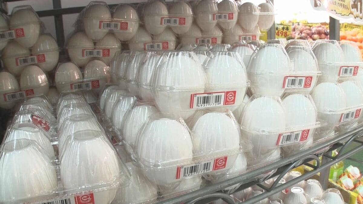 年内のたまご価格は高水準が続く見込み 生産量は去年と同程度