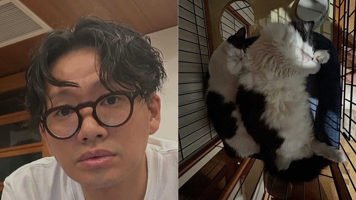 愛猫【 ミキ・亜生 】「寝相が同じ」ハチワレ兄弟の姿にフォロワー悶絶「可愛い」「シンクロ」「兆くんでっかい!」