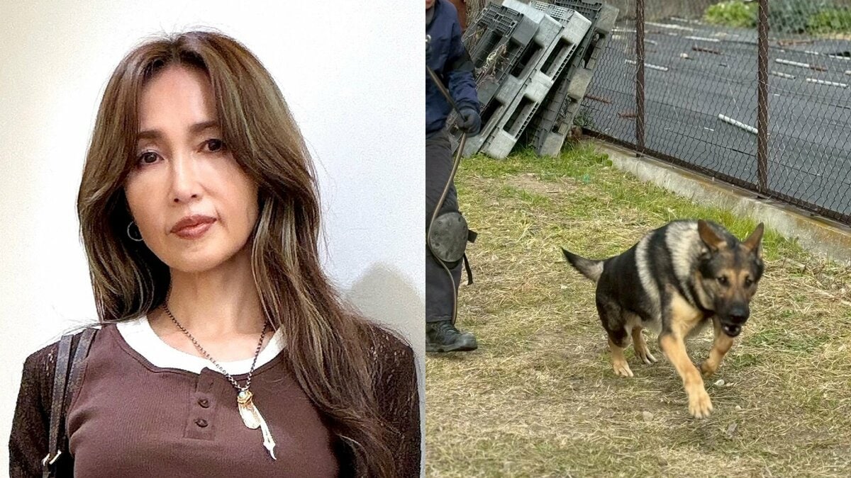 【 工藤静香 】 災害救助犬チームへ「ポータブル電源」を寄付 ライブグッズ売上の一部で支援「しーちゃんらしい社会貢献」「少しでも携われて幸せ」