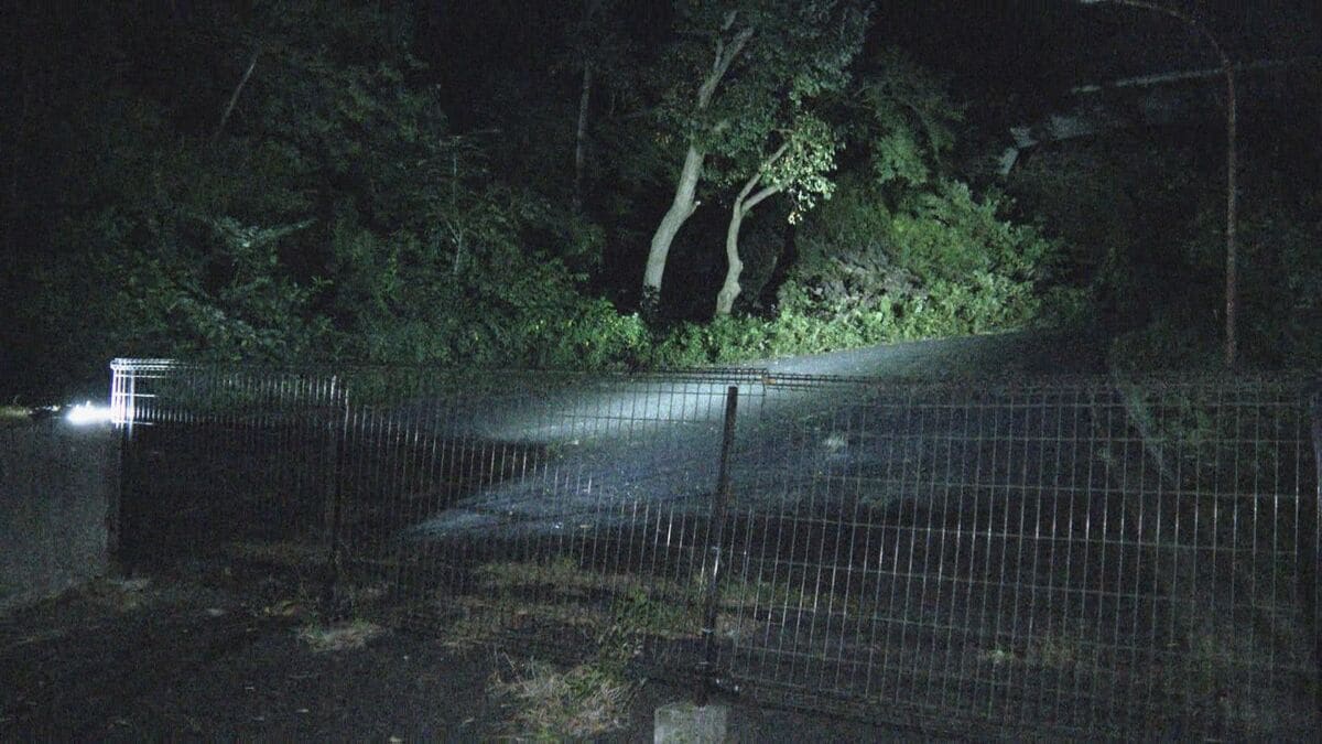 2歳男の子が32歳女性の乗用車にはねられ死亡 現場では「ママ友」の集会 過失運転致死の疑いも視野に捜査 神奈川・鎌倉市