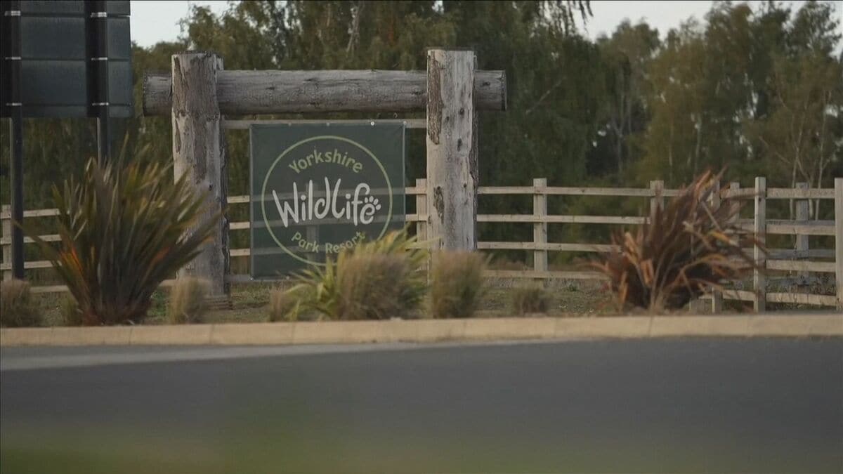 イギリスの野生動物公園でトラの飼育エリアに男性侵入　襲われ死亡　現地メディアによると周囲は高い保護柵やフェンスで厳重に囲まれている場所