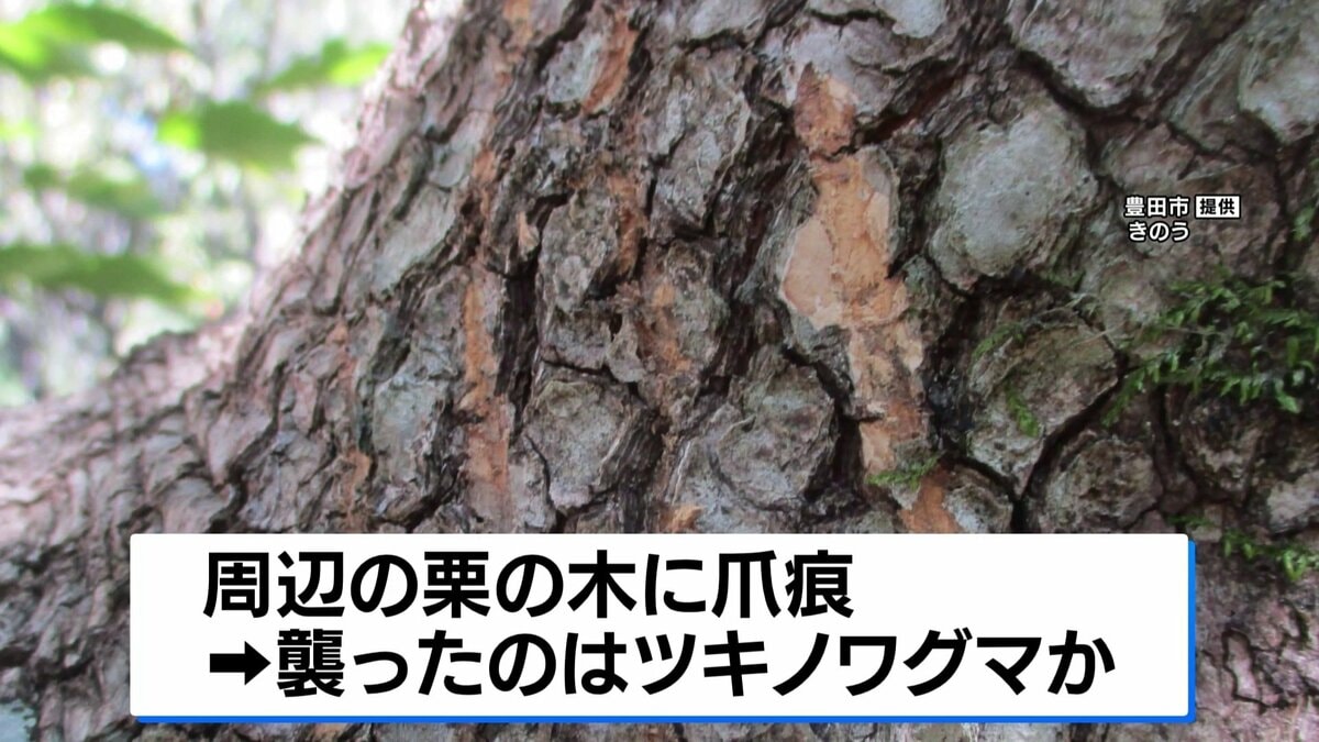 男性(59)がクマに襲われ大けが 愛知・豊田市の住宅