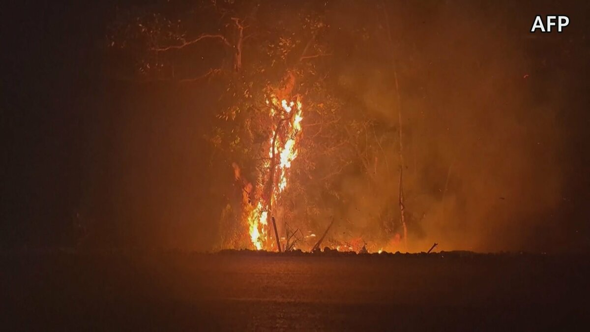 “過去10年で最悪レベル”インドネシアで森林火災の被害拡大　絶滅危惧種オランウータンも“飢餓状態”で保護　シンガポールなど周辺国も大気汚染が深刻