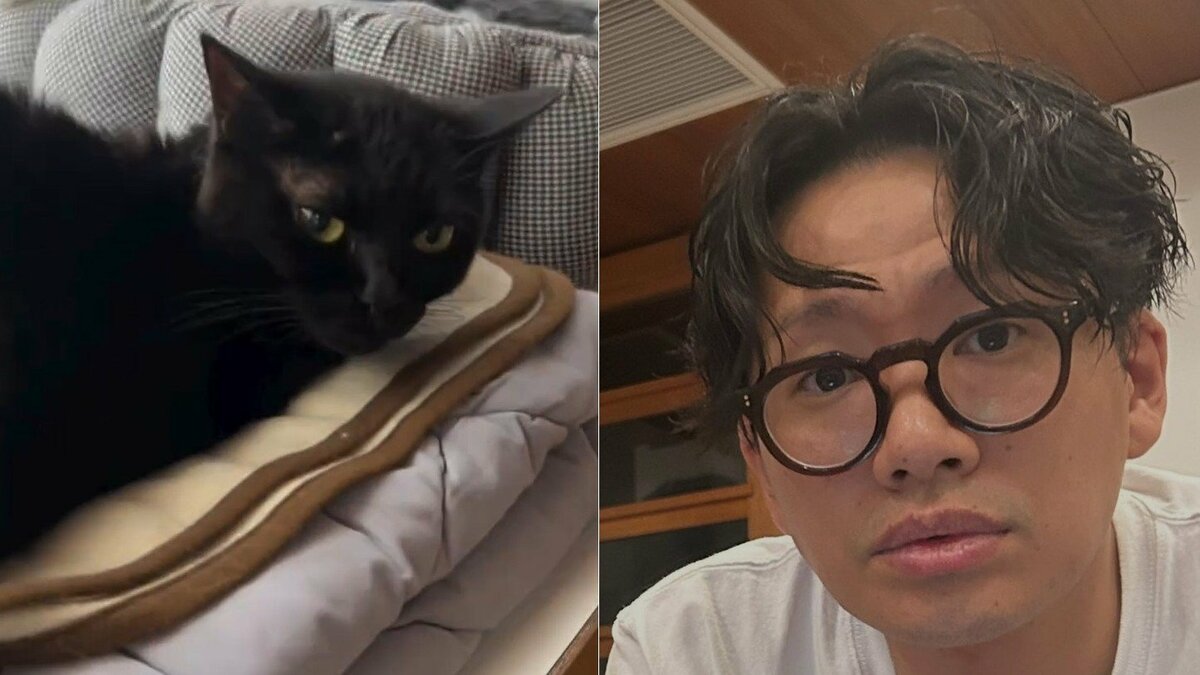 愛猫【 ミキ・亜生 】「気を遣える男はモテるぞ」 神経質な黒猫とマイペースなハチワレ兄弟の距離感にフォロワー「可愛い」