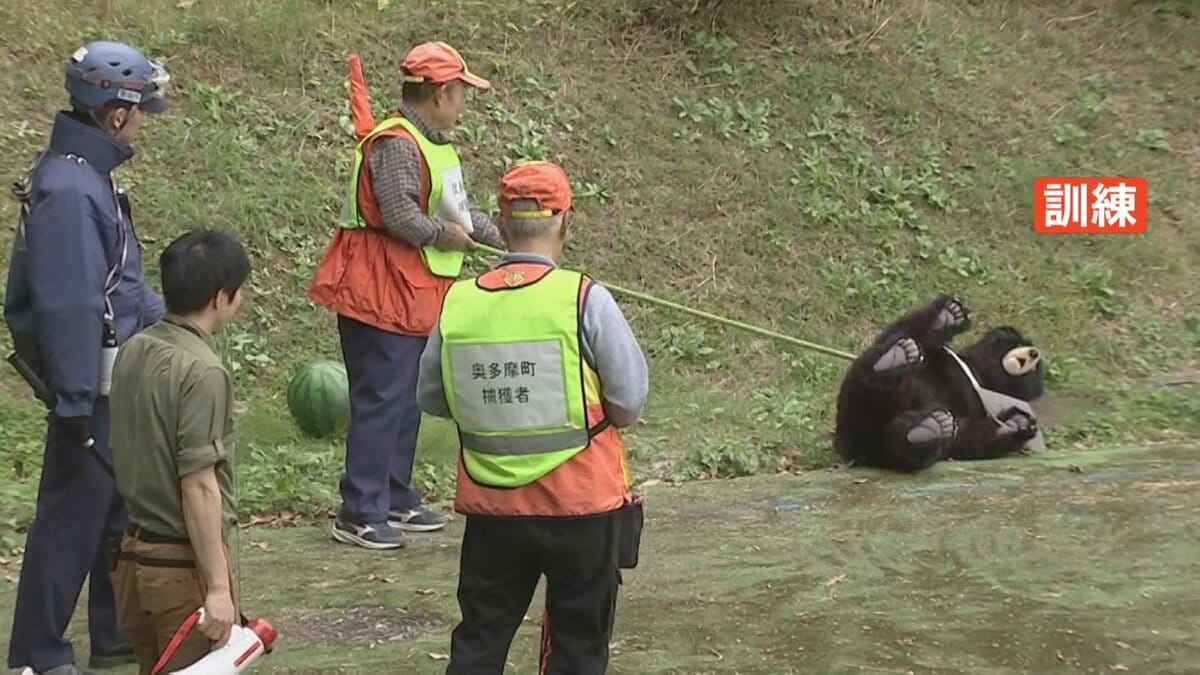 市街地にクマが出没したら…東京都が「緊急銃猟」想定した初の実地訓練実施