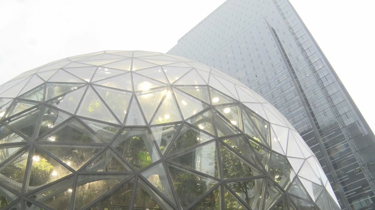 PHP脆弱性の公表前にサイバー攻撃か アマゾン調査で判明
