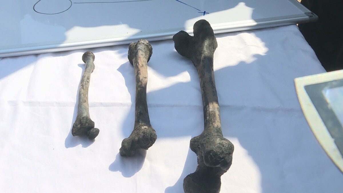 長生炭鉱事故 遺骨のDNA型は日韓両国の遺族と一致せず 韓国政府発表