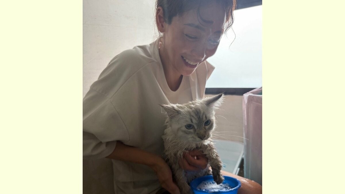 【 相武紗季 】「新しい家族が増えました」猫にシャンプー　2頭がくつろぐ姿も「みなさん、動物の家族はいますか？」