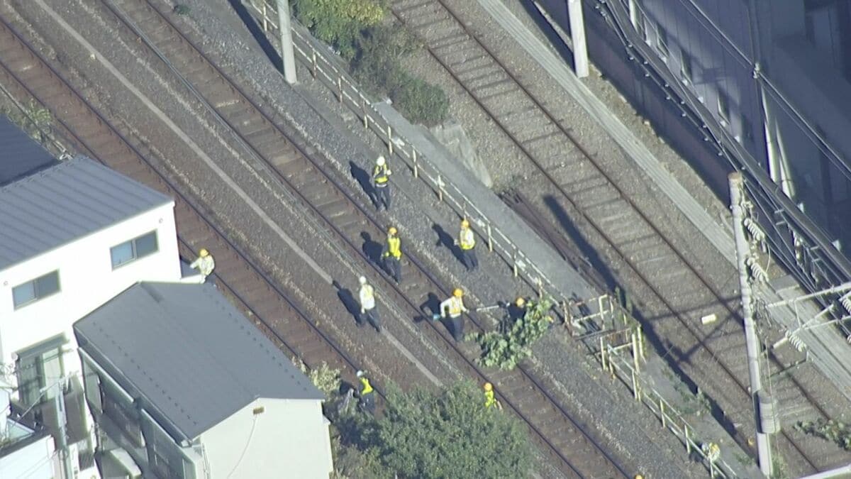 京浜東北線全線で運転見合わせ 倒木の影響