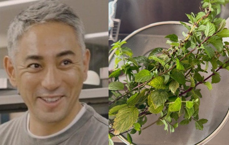 【 市川團十郎 】人生初のハーブティー作りに反響「身体にも心にも優しそう」「すてきな時間をお楽しみください」