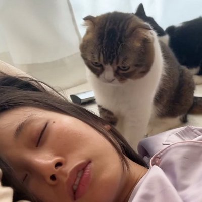 二度寝するママ』を起こしたい猫→奮闘した結果…まさかの展開が可愛