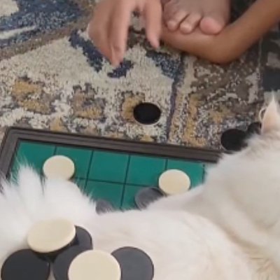 オセロで遊んでいると、盤上に子猫が座り込んでしまい…そのまま始まっ