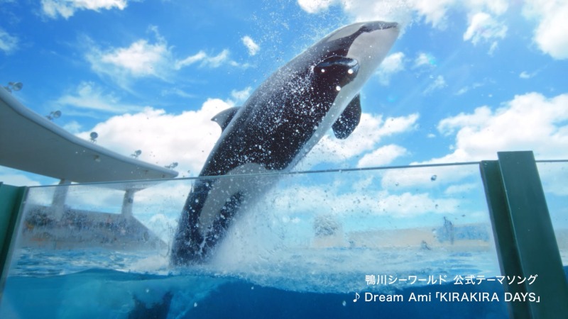 鴨川シーワールドで“夏の感動体験” シャチCM公開＆宿泊券が当たる
