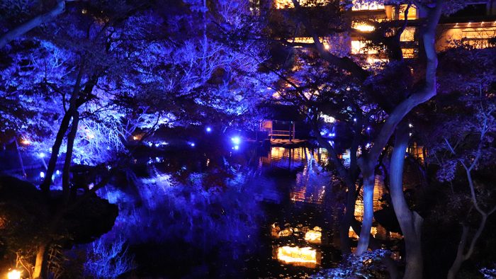 八芳園が冬恒例の庭園イベント『TOKYO BLUE GARDEN 2024-2025』を開催!今年のテーマは「蒼の幻想」