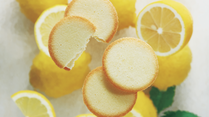 ブールミッシュから毎年好評の「瀬戸内レモンのラング・ド・シャ」が登場! 「瀬戸内レモンのラング・ド・シャ」16個入りをプレゼント